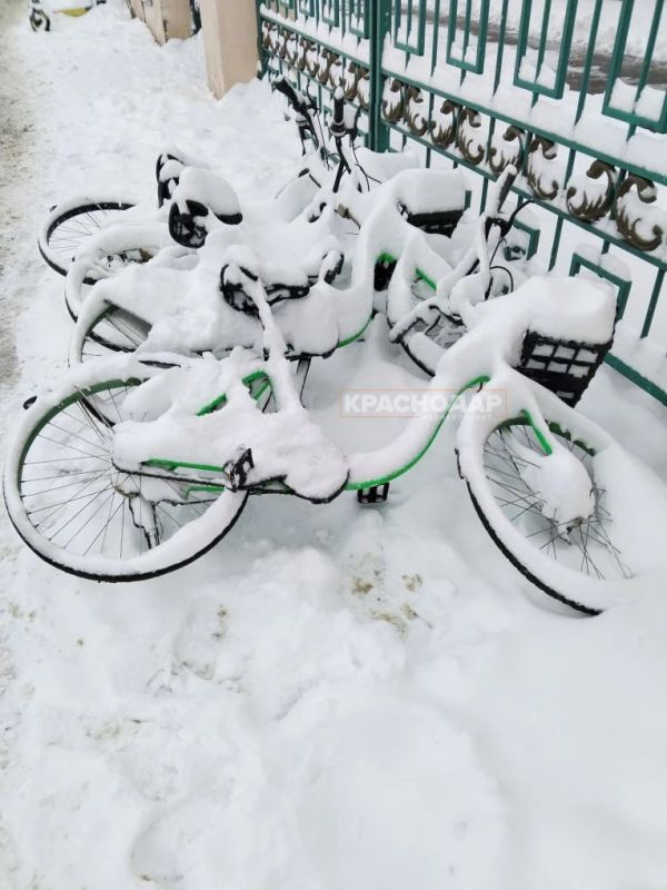 ���������� ���� ���������� ������� �����������