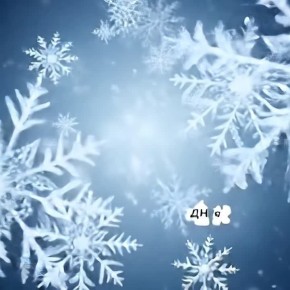 Главное на сегодня:. Лебедь-интроверт на льду взволновал неравнодушных крыловчан