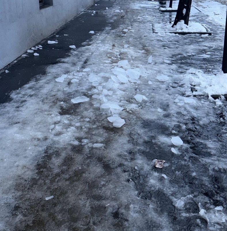 ��� ���� �� �������� � ����������: ����������� ������������ ��������