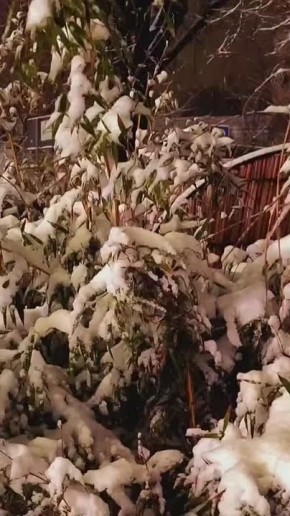 ������� ����� �����. ����� ������������� ����! ��� ������� � ��� ������� �����