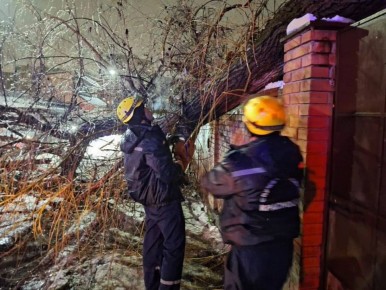 ������ ����� �� ����� � ���������� ����������� ����������