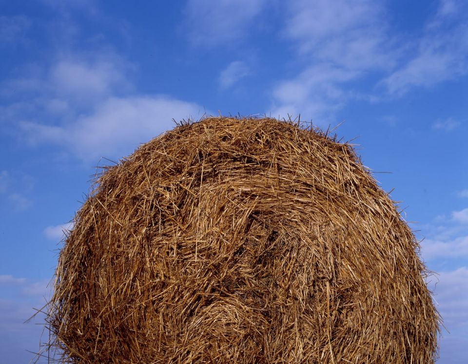 ������� ������� �� �������� ��������