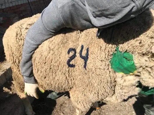 � ��������� ������ ��� �������� � ������� ���� � ���