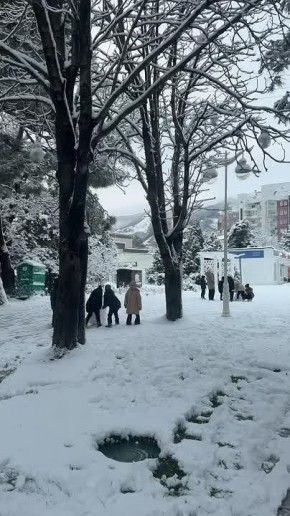 ������� ����� ��������� �������� ������� ������ ����� N3