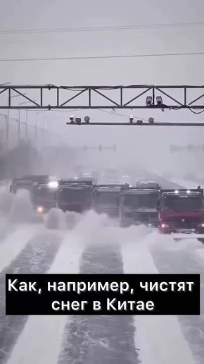 ����� vs ������������� ����