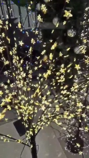 ������� ����� ������� ���� ���� ����