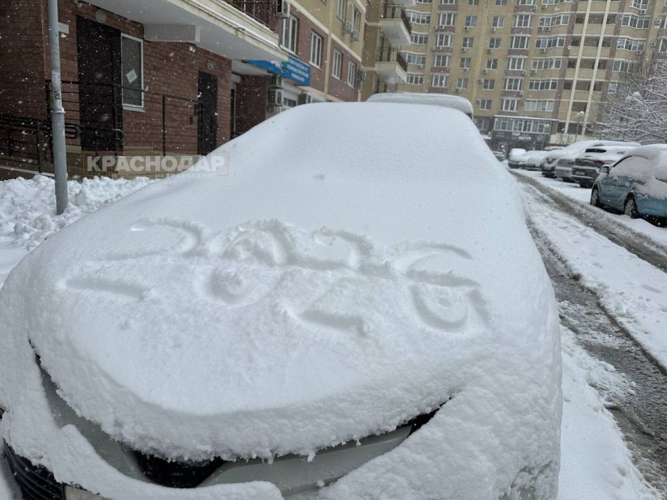 ���������� ���� ���������� ������� �����������