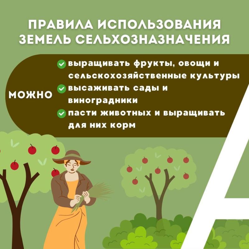 ���������� ����������������� ��������� ����� ���������� � �������� ������������� ������ �����������������