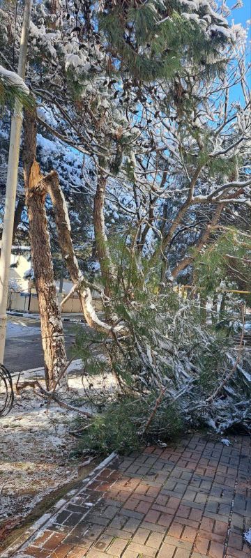 ���������� ����������� �� ��������������� ���������� ��������� ������� ����� �� ������ ����������