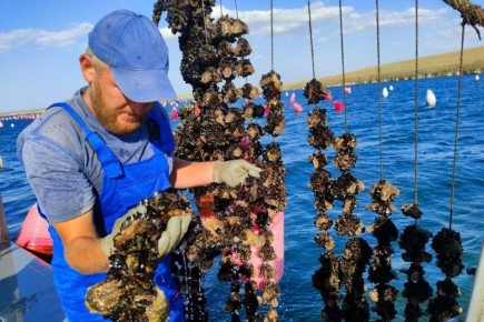 1 � �������� ���� ����� ��������� ����� �� ����������� ������