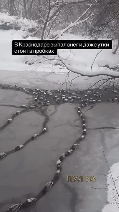 �� ���������� ����� ����, � ���� ���� ����� � ��������: