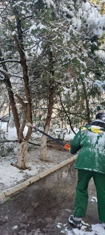 � ���������� ������������ ���������� ������� ������