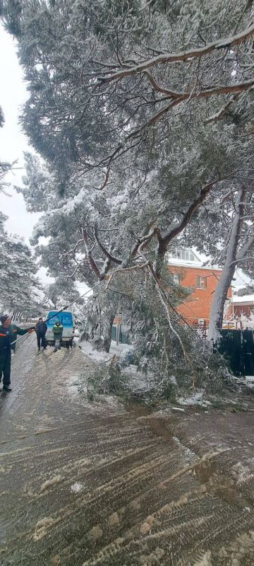 ������������ ������ ���������� ���������� ������ �� ������ ������� ������