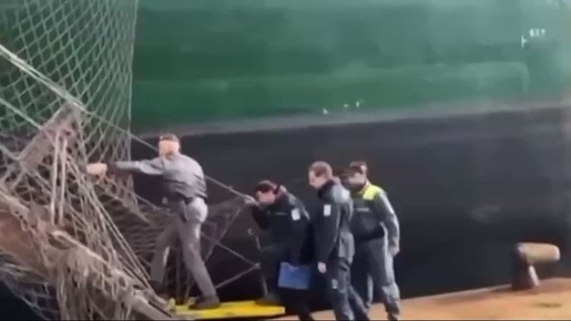 � ������ ��������� ����� � 33 �������� ���� ������ ��������, �������, ��� ������������, ����� ���� � �������������