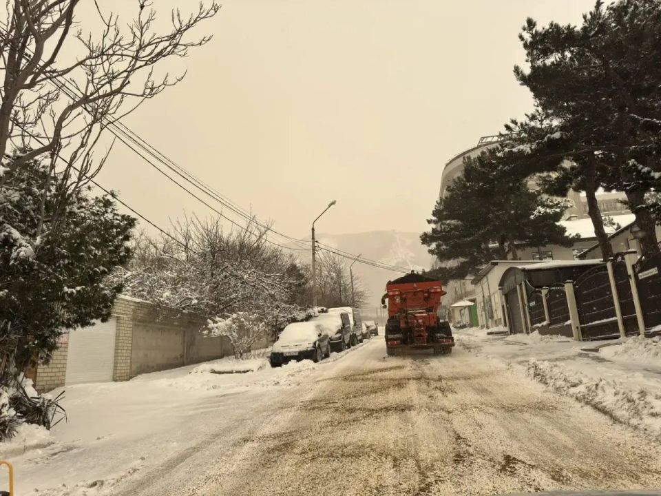 ������������ ������� �������� � ������� ����