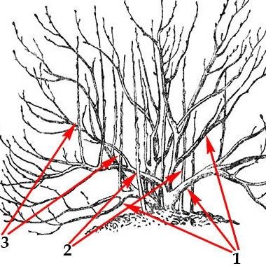 ����� ����������: ������� �������� ������� ��� �������� ������