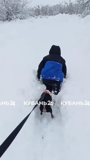 ������� ����. ������� ���� ������ ��������� ������ ��������� � ������ ������������ ���� ���� ��� �����