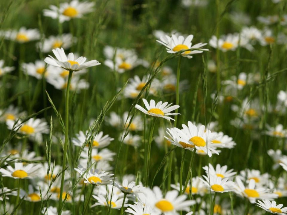 �������: ��� ��� �������� �������� ����� ������� ��� ��� � �������� ��������