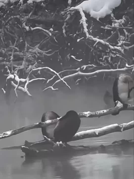 � �������� ������� ������ ����?