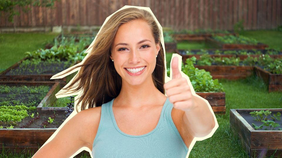 ������ � ����� ����� ���������� �� ���� ��� ������: �������������� ������� ��������