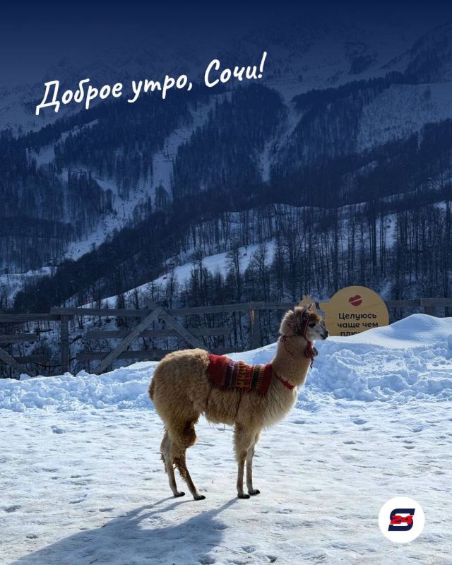 Доброе утро!. Пусть этот день будет лёгким, наполненным хорошими новостями и приятными встречами