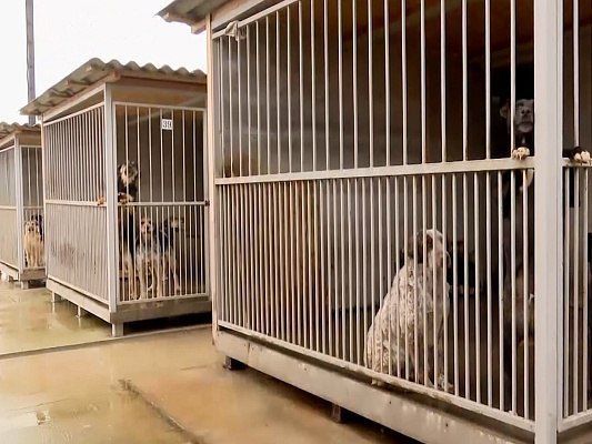 � ���� �� ��� ����� ������ ����� ����� 200 ����� �� �������������� ������ ��� ��������