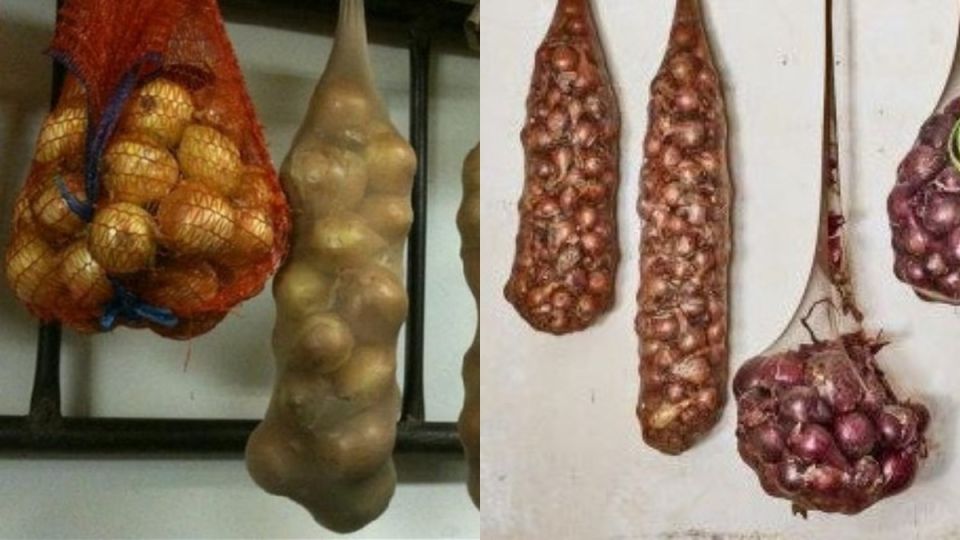 Тайный метод хранения лука: как старые колготки помогают сохранять овощи до мая