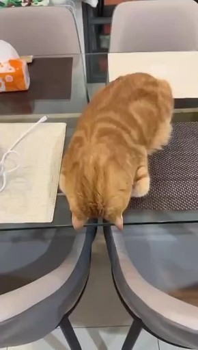 ��������� ��� ����� �������� ������������