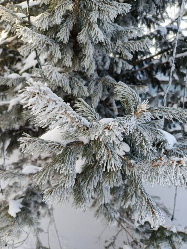 О погоде на 19 января. В Краснодарском крае переменная облачность