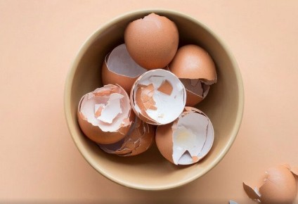 �� ������������ ������ ��������: 10 ��������, ����� ������� � �������� � �������� �����