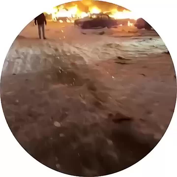 ��������� �������: ���������. ����������� ����� ���