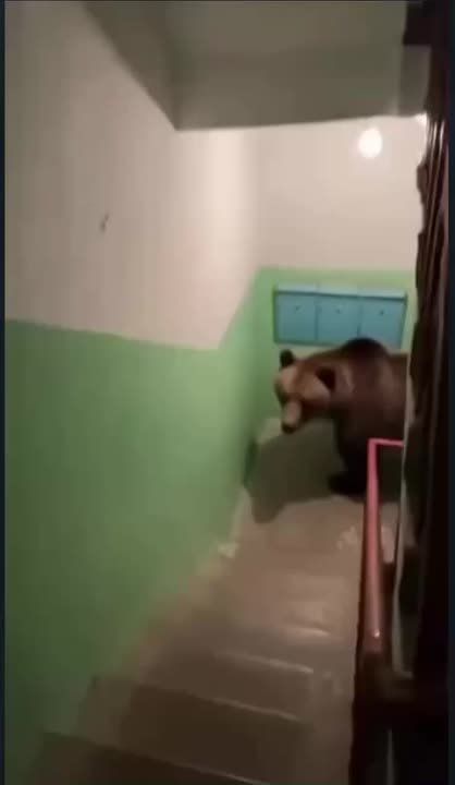 ���������� ���: � ������� �� ������ �� ���