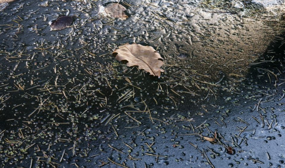 � ������ �� ����. ��, �� ����� �����, �� ��� ����� ���� �� ����� �������