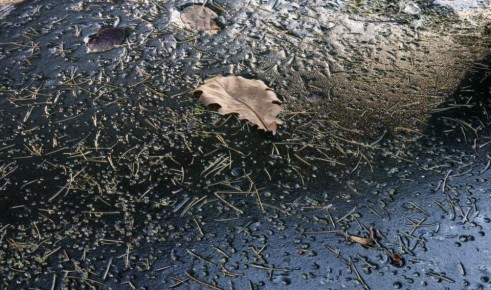 В погоне за фото. Да, на улице мороз, но лед может быть не везде прочным