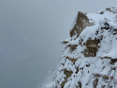 ������������ ����� ����� ������ - ����� ���� ��������