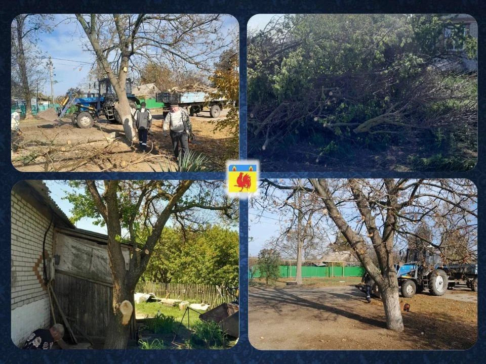 ������� ������� �� �������� ��� ��������