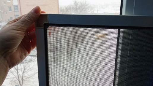 ������ ��������� ��������� ����� ����� ����� ���� ����������?