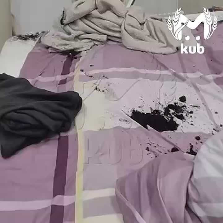 ��� ������� �������� ���� �� ������������ ������� ������� � ����� ������