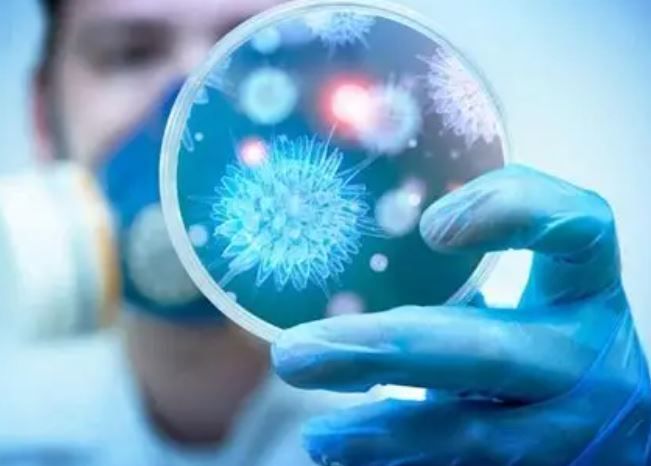 ������������ ����������� ������� ��� ���������� ��������� Salmonella typhi, ���������� ����� ������������ ���� � ����, � ����� �������� ��������� ����������, ���� �� ������ ������������� �������