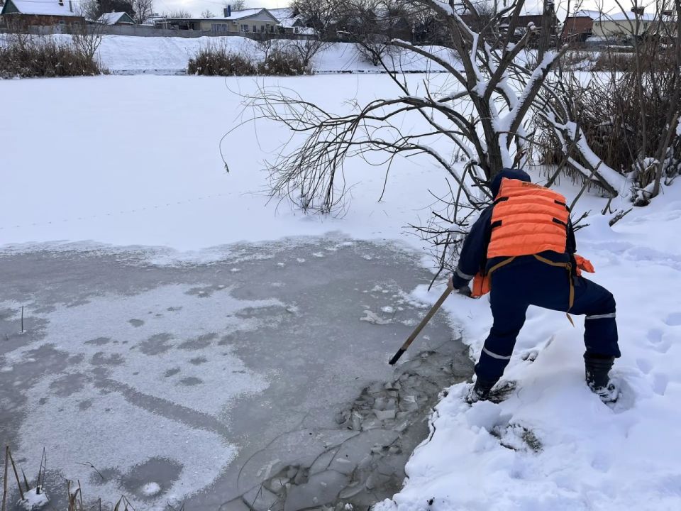 ������ �������� ����� ������ �� �����