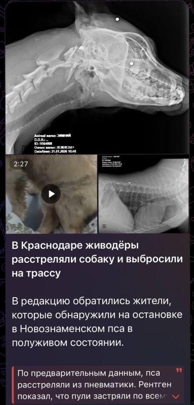 ������� ���������� ��������� ���������� � ��������� �������� ��������� � ��������