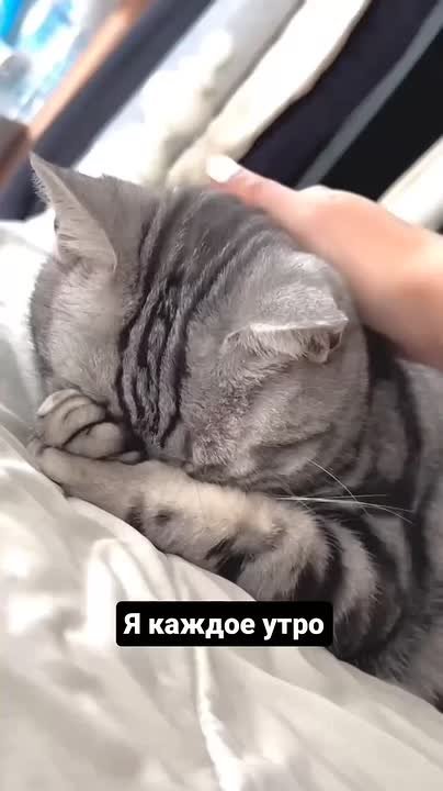 С добрым утром!