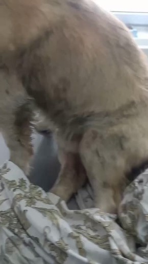 ���� � ��� � ������. � ������� �������������� ���� ������� ������ ������� ������