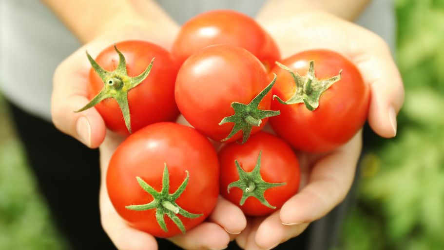 ������, ������� �� ��������� ��������: 7 ������, ������� ����� ��������� �� ������