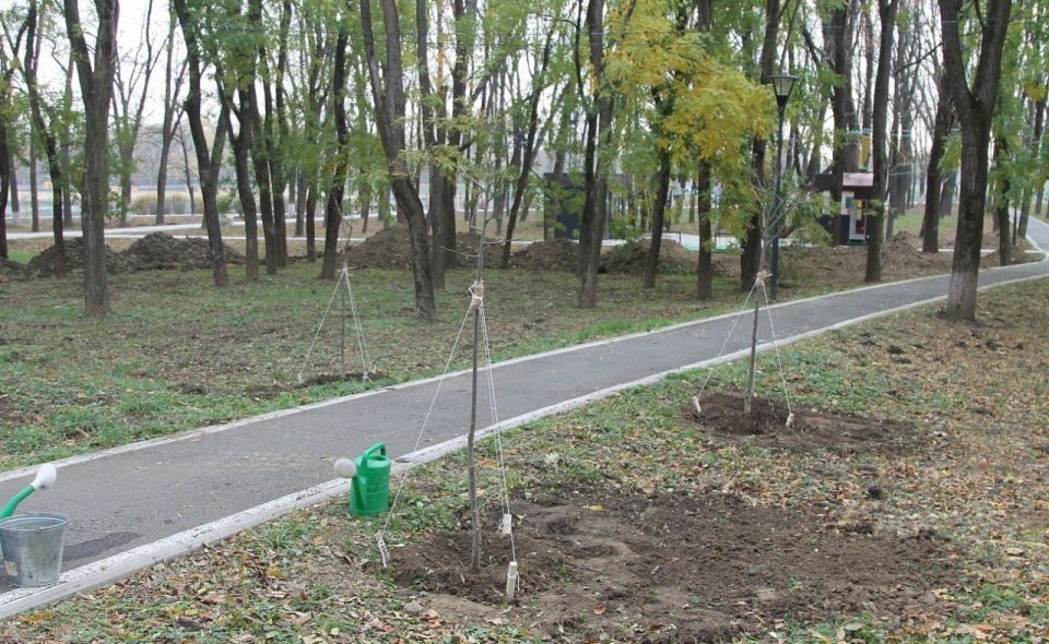 ���������� ���������� ������� ������� � ������������� ������� ����� �����λ