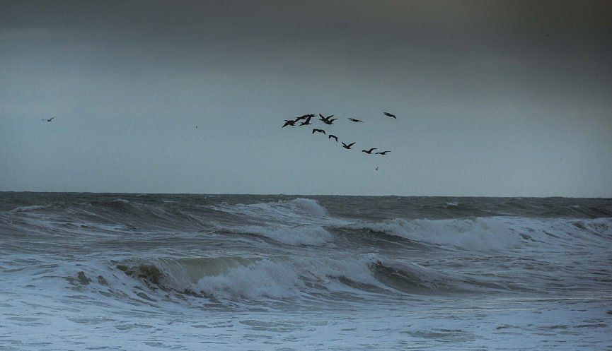 ��������! ��������� ��������� �������� �������: �����, ������ ����, �������