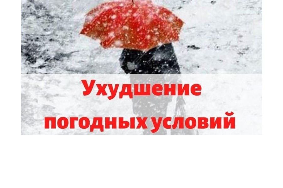 �� ������ ���������� �������������� �������������� ����: