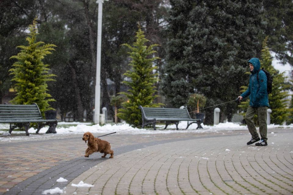 ��� ������. ������ ���������� ������������, ���������� ���� ����