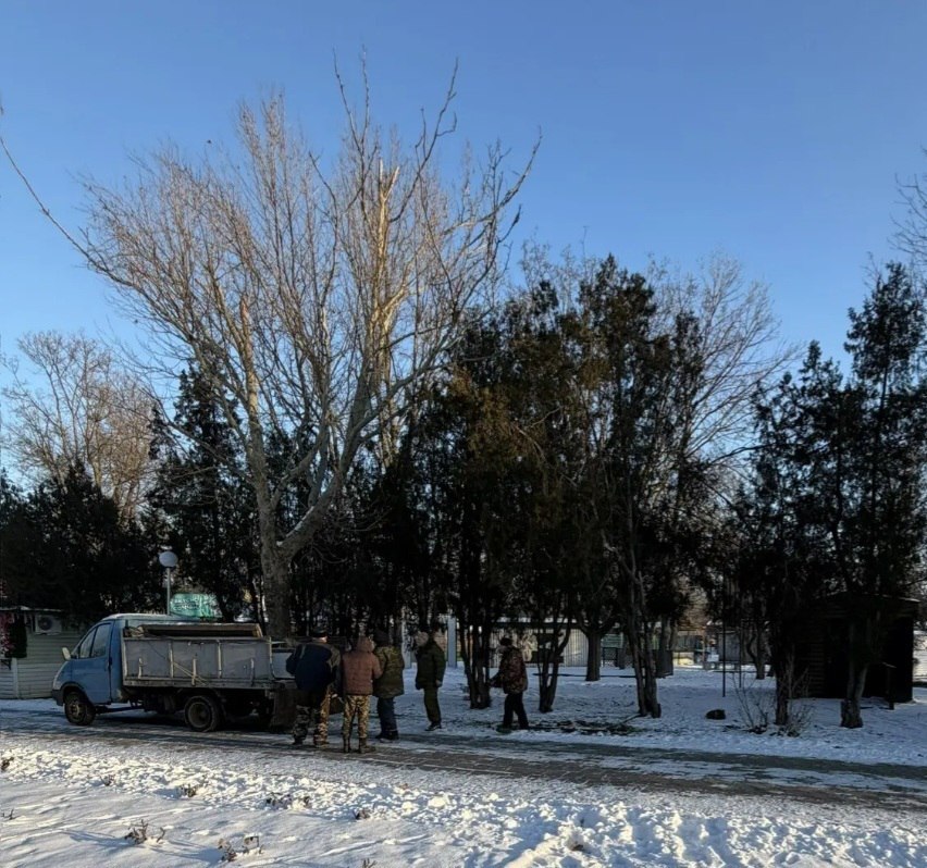 На территории «Парка культуры и отдыха имени И.М. Поддубного» проводятся работы по демонтажу нестационарных торговых объектов с истекшим сроком договора о предоставлении права на размещение нестационарного торгового объекта На территории «Парка культуры и отдыха имени И.М. Поддубного» проводятся работы по демонтажу нестационарных торговых объектов с истекшим сроком договора о предоставлении права на размещение нестационарного торгового объекта