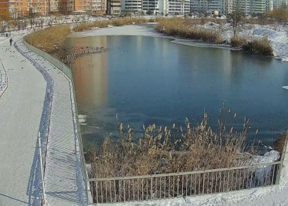 Делимся кадрами с камер наблюдения: городские водоёмы сковал лед